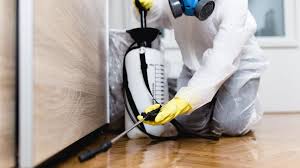 Best Fumigation Services  in Opp, AL